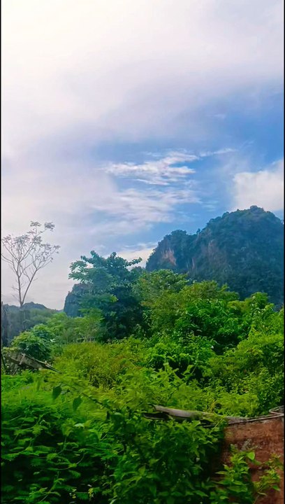 Tourism with the oldest paintings in the world in Indonesia, South SulawesiNamed Leang Leang