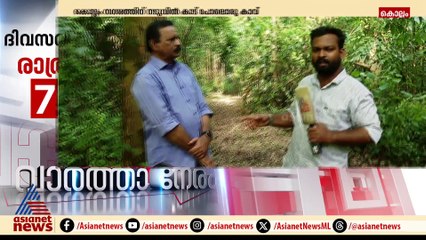കൊല്ലം നഗരത്തിന് നടുവില്‍ കാട് പോലൊരു കാവ് ഉണ്ട്; മനുഷ്യന്‍ മണ്ണില്‍ തീര്‍ത്ത മാസ്മരിക ലോകം