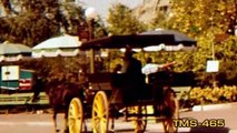 Horse-Drawn Surreys--Disneyland History--TMS-465