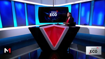 Mobilisation des ressources pour le développement de l'Afrique avec Bachir Thiam - 04/06/2025