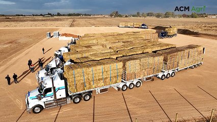 Large hay convoy a sight to behold for SA farmers