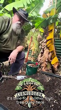 Grumpy Gardener | The Senior