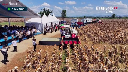 Bertopi Koboi, Gaya Presiden Prabowo Jajal Mesin Panen Jagung di Bengkayang, Kalbar