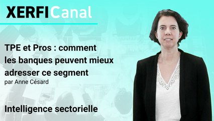 TPE et Pros : comment les banques peuvent mieux adresser ce segment [Anne Césard]
