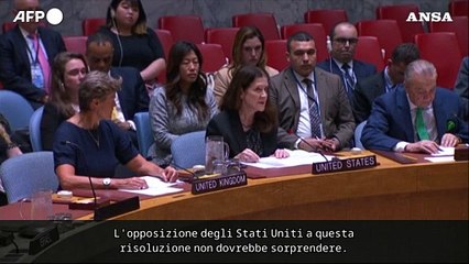 Gli Usa bocciano la risoluzione del Consiglio di Sicurezza Onu su Gaza