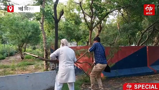 विश्व पर्यावरण दिवस: 'पूरी जिंदगी कर दी यमुना के नाम, नदी किनारे लगाए 40,000 से अधिक वृक्ष'; जानिए अशोक उपाध्याय क्यों कहलाते हैं 'यमुना बाबा'