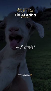 Eid mubarak ||eid ul edha ||allah hm sab ki qurbani ko qobol parmay ||#ameen #eid ul edha