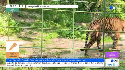 05/06/2025 - ici matin par ici Orléans en vidéo