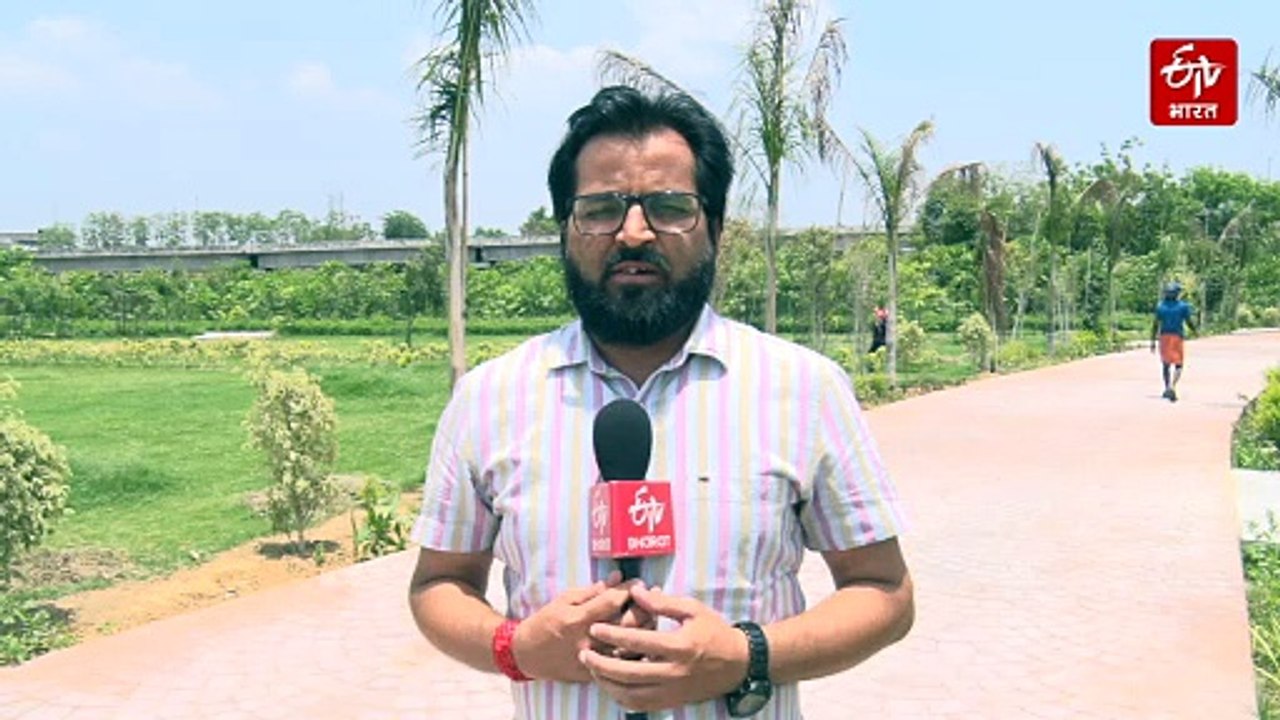 विश्व पर्यावरण दिवस: सीएम योगी के ड्रीम प्रोजेक्ट सौमित्र वन की हरियाली की हत्या कर रहे जिम्मेदार, सूख गए सैकड़ों पेड़