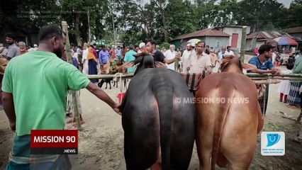 এলেঙ্গা কুরবানির পশুর হাটের চিত্র....