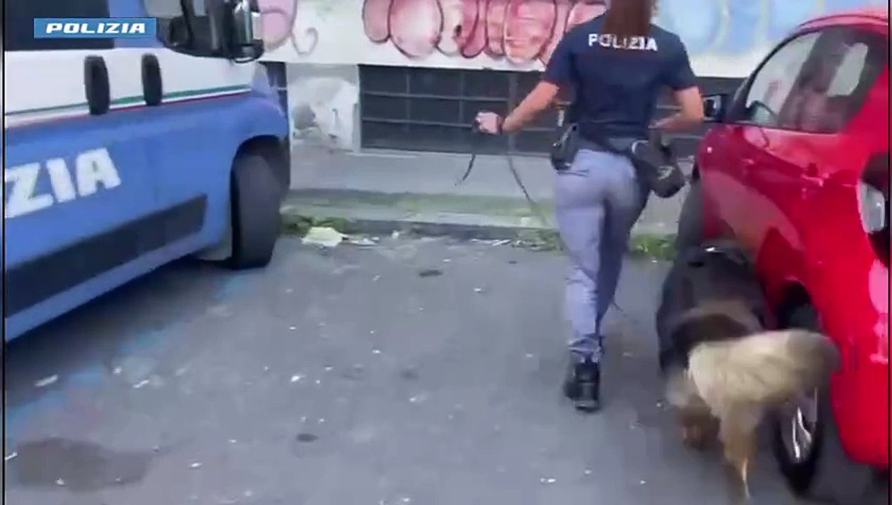 Catania: Polizia di Stato scova la droga in un congelatore