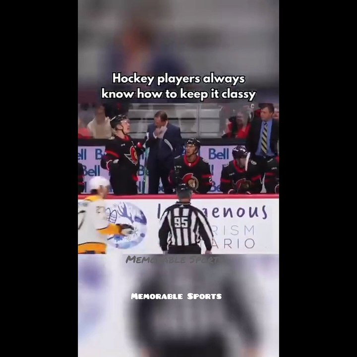"Speed, Skill & Smackdowns – This Is Real Hockey!"