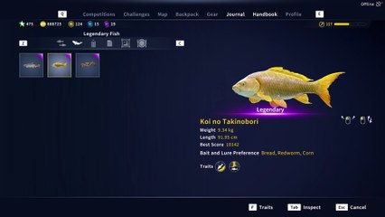 Legendary Fish Koi no Takinoboei Kamuibetsu Reserve COTW The Angler 5 June 2025