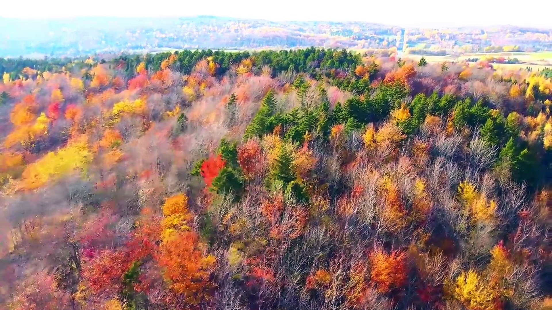 ⁣UNBELIEVABLE 4K 120fps HDR Video - Dolby Vision (8K _ 4K TV)