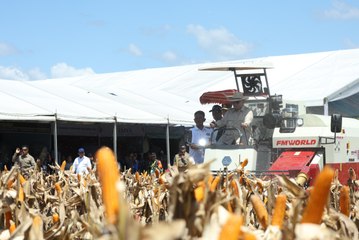 Produksi Jagung Indonesia Berhasil Naik Hampir 50%, Prabowo Hasil Keringat dan Hati yang Bersih