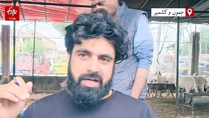 عیدالاضحی کے پیش نظر کشمیر کی مویشی منڈیوں میں گہما گہمی