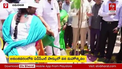 చెట్లు పెంచని వారికి గాలి పీల్చే హక్కు ఎక్కడిది?: సీఎం చంద్రబాబు
