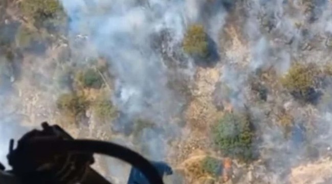 İzmir'de makilik yangını! 1 saatte kontrol altına alındı