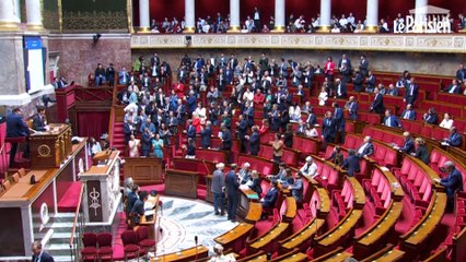 L'Assemblée adopte un texte demandant l'abrogation de la réforme des retraites