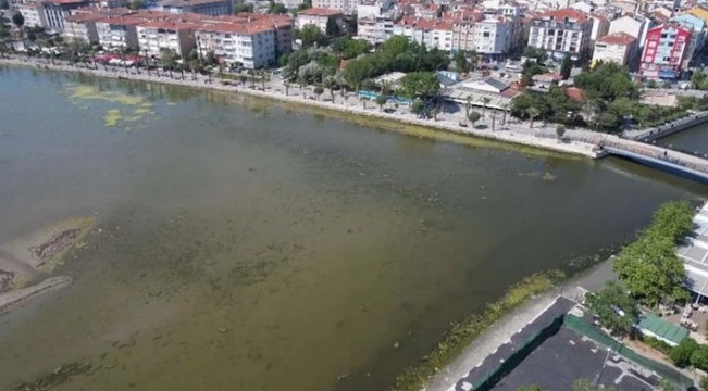İstanbulluları tedirgin eden görüntü: Alg patlaması!