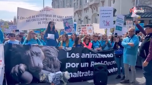 Veterinarios toman las calles 7 y 8 de junio: protestas en España para proteger a nuestros perros y gatos