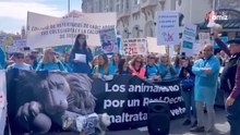 Veterinarios toman las calles 7 y 8 de junio: protestas en España para proteger a nuestros perros y gatos