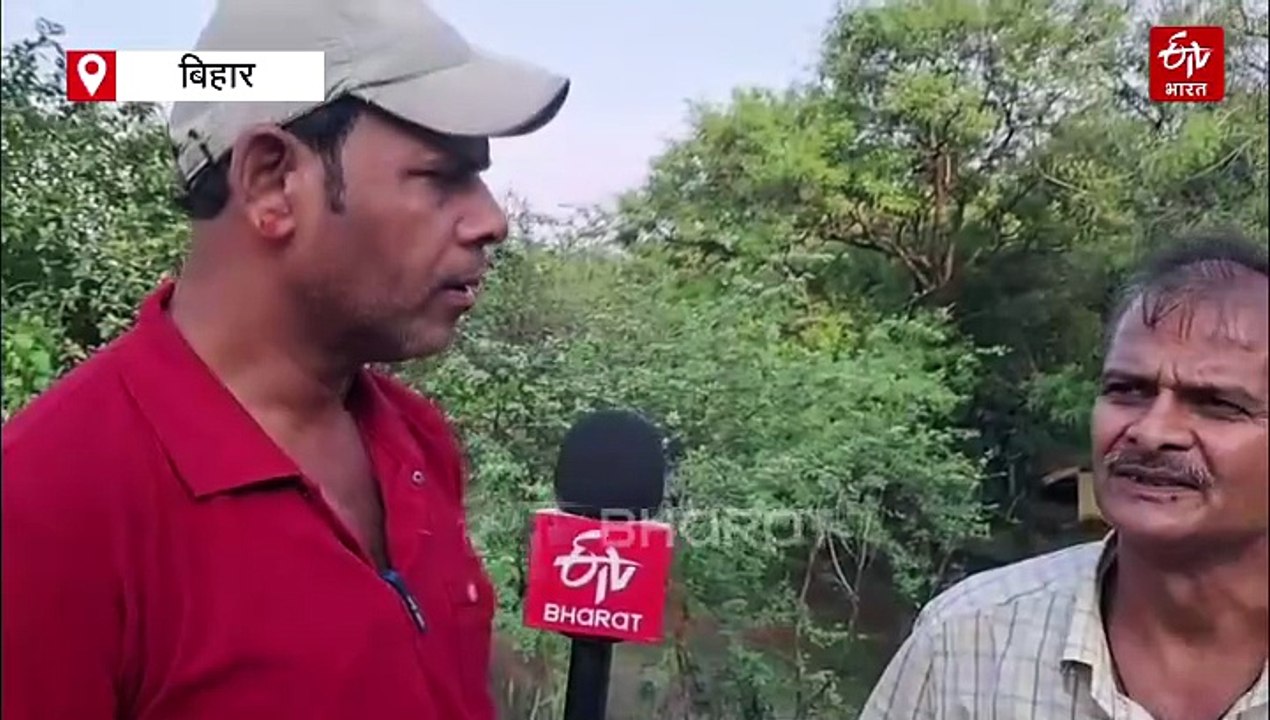 44 सालों से पहाड़ों पर पौधे लगा रहे सिकंदर, जानिए 'ग्रीन मैन' की पूरी कहानी