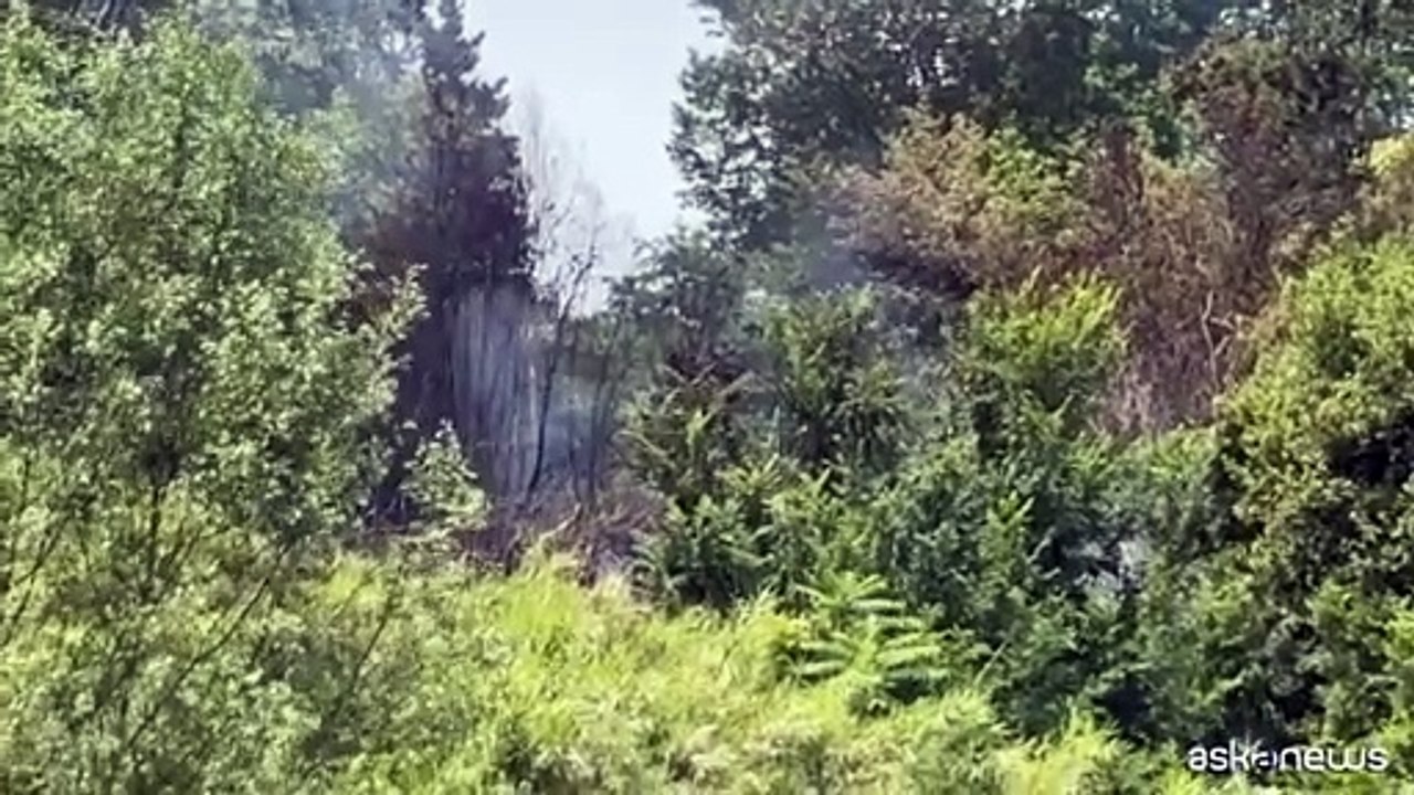 Nuovo rogo a Roma nella riserva di Monte Mario, sotto controllo