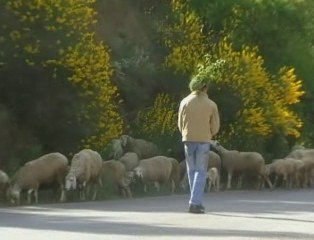 Ighil-ali au printemps