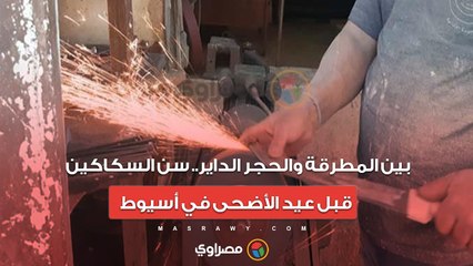 بين المطرقة والحجر الداير.. سن السكاكين قبل عيد الأضحى في أسيوط