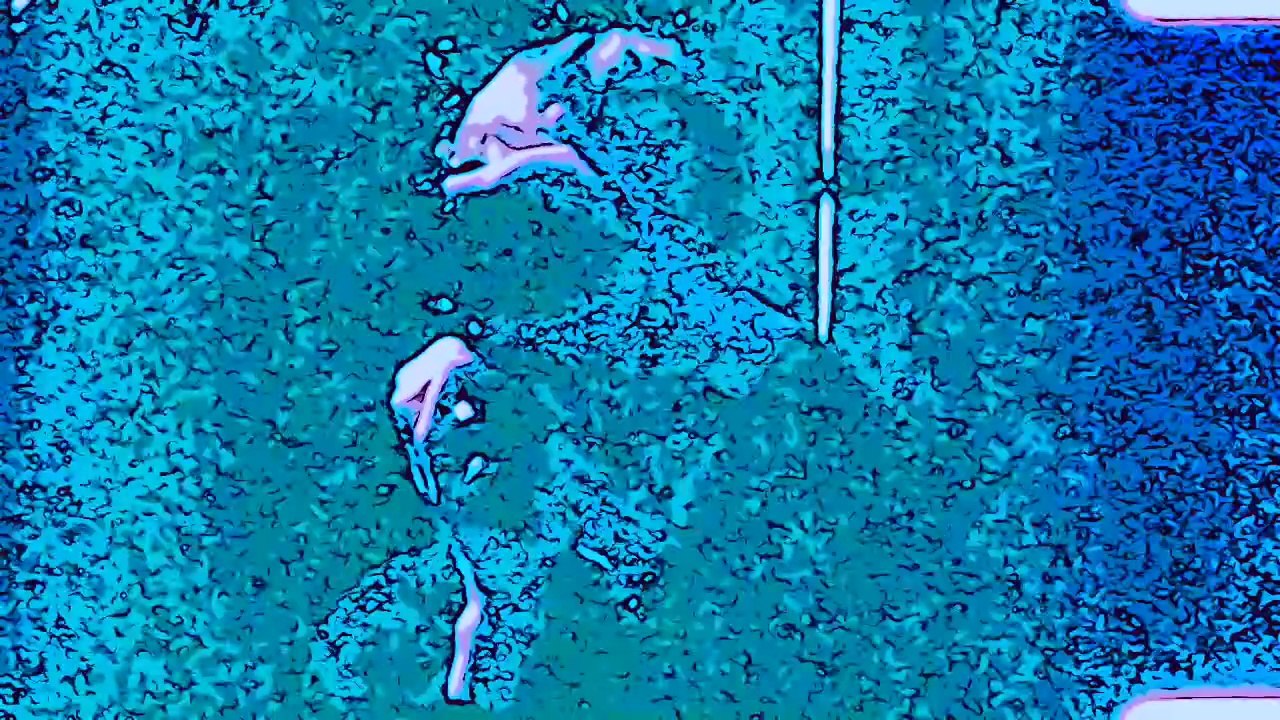 Le Jardin des Amis  (montage n°01 ) / Olivier Fouchard