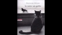 NATSUME SOSEKI---IO SONO UN GATTO