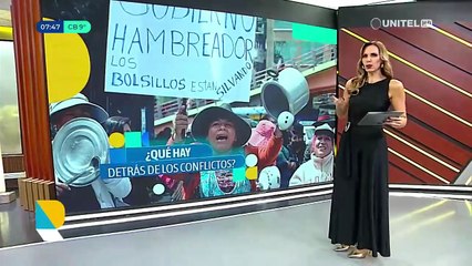 Movilizaciones por candidatura de Evo son una batalla utópica y el TSE debe ser sólido para dar certidumbre, dice analista