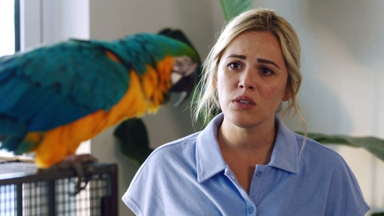 Federleicht verliebt Trailer OV