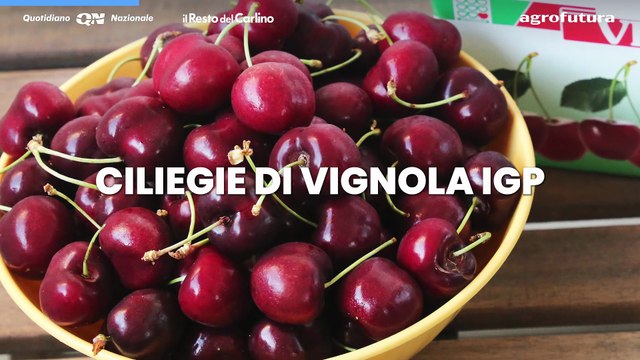 Terra - Viaggio nei sapori dell'Emilia Romagna