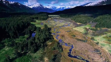 Alaska Ücgeni 1. Sezon 8. Bölüm