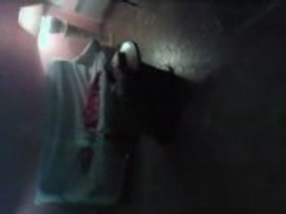 mes fous de chiens..