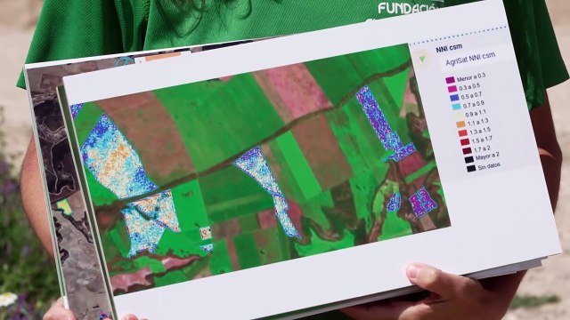 Los cereales de las papillas de Nestlé en España procederán de agricultura regenerativa