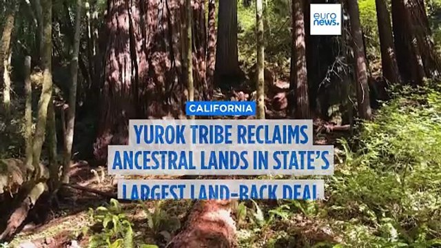 Yurok tribe reclaims ancestral territory in California's largest ever land-back project