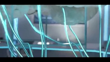 Meet Miko 3 - the World’s coolest robot for kids