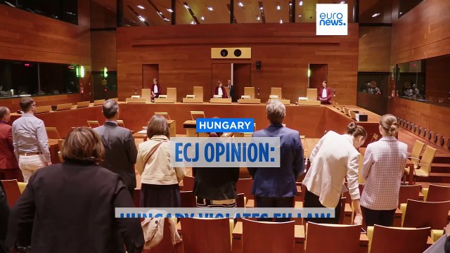 Hungary's LGBTQ+ law breaches EU regulation, top court advocate says