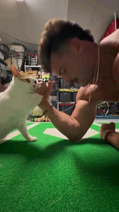 cat fight vs man