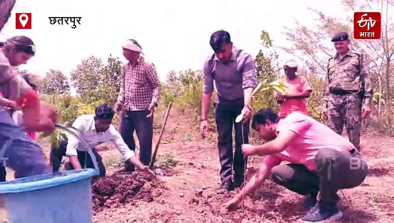 छतरपुर कलेक्टर ने पेड़ों की लगा दी ड्यूटी, फ्रू...