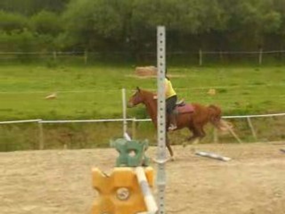 Jappy et moi barres au sol + obstacle