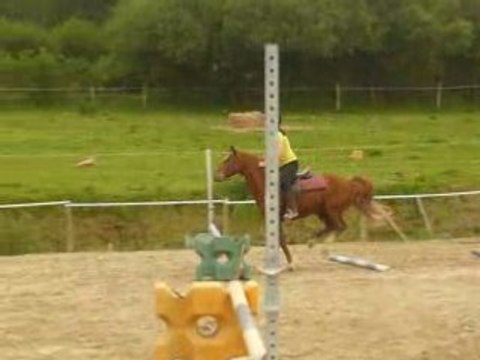 Jappy et moi barres au sol + obstacle