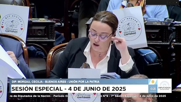 Cecilia Moreau a Martín Menem: Tiene que correrse a un lado si la estafa de LIBRA lo involucra y dejar que esta Cámara lo investigue