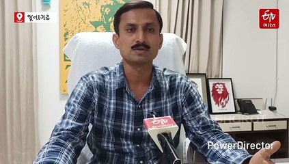 4,500 કારના પ્રદૂષણને એક હેક્ટરમાં વાવેલા ચેરના વૃક્ષો શોષી લે છે, ગુજરાતના દરિયા કાંઠે બન્યા સિંહોનું નવું રહેઠાણ