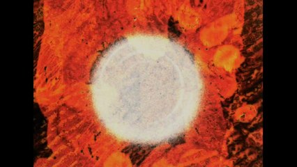 Cerclitudes II un film / Olivier Fouchard 2025