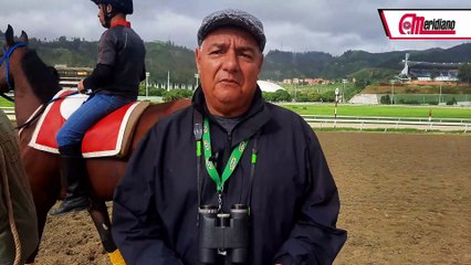 HIPISMO:  Wladimir Sánchez - Entrenador