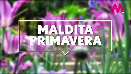 La maldita primavera